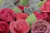 rosebuds-closeup