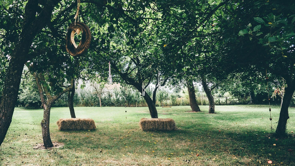 We Like... Baked With Love by Alice